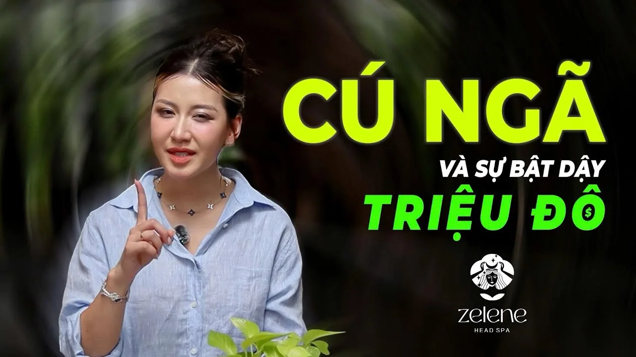 Tài sản thương hiệu Julie Mai